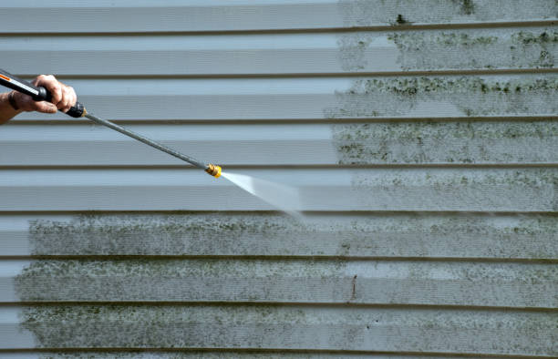 Best Local Pressure Washing Services  in Fenton, MO