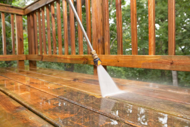 Best Roof Pressure Washing  in Fenton, MO